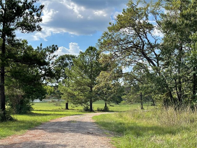 15492 Wood Grove Way, Willis, TX 77378