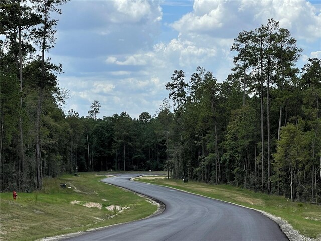 15492 Wood Grove Way, Willis, TX 77378