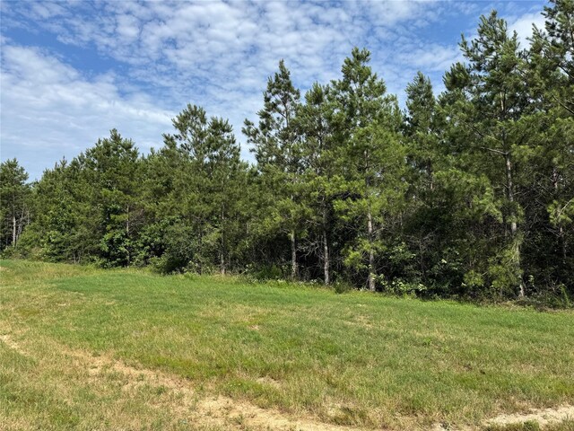 15492 Wood Grove Way, Willis, TX 77378