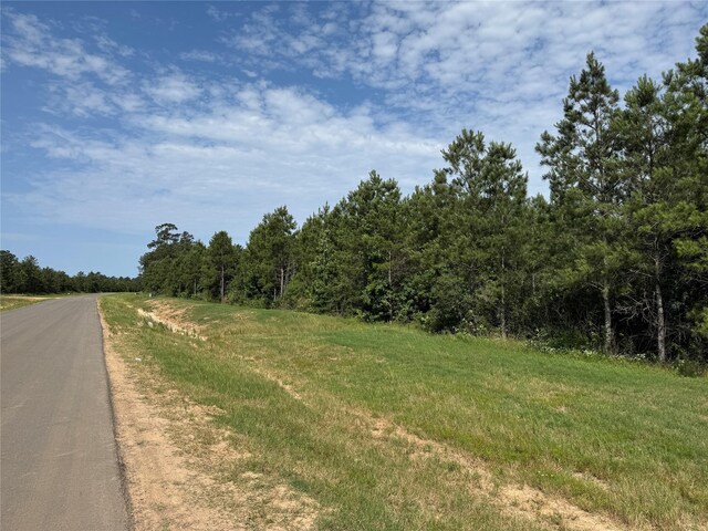 15492 Wood Grove Way, Willis, TX 77378