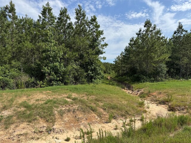 15492 Wood Grove Way, Willis, TX 77378