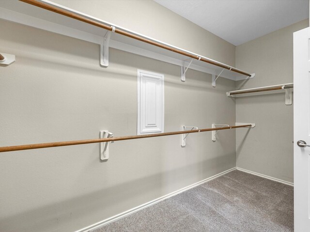 17510 Durham Ridge Ln, Humble, TX 77346 - spacious closet with carpet