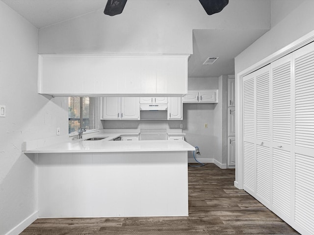 3808 Williams Rd, Benbrook, TX 76116 - kitchen featuring under cabinet range hood, a peninsula, a sink, light countertops, and white cabinetry