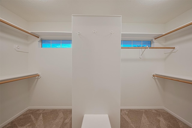 5918 Pendelton Place Dr, Sugar Land, TX 77479 - spacious closet with carpet