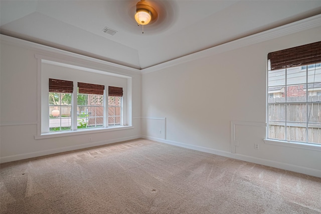 5918 Pendelton Place Dr, Sugar Land, TX 77479 - spare room with carpet floors, baseboards, a tray ceiling, and ceiling fan