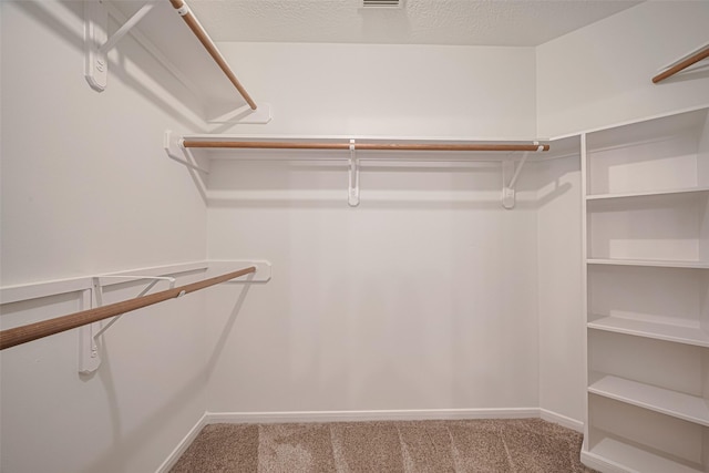 5918 Pendelton Place Dr, Sugar Land, TX 77479 - spacious closet with carpet floors