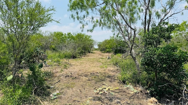 TBDLOT25.35AC Ridgeway Ln, Beeville, TX 78102