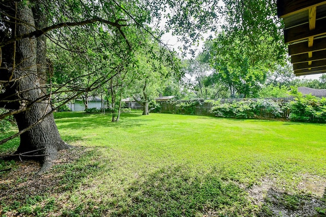 12618 Foxburo Dr, Houston, TX 77065 - view of yard