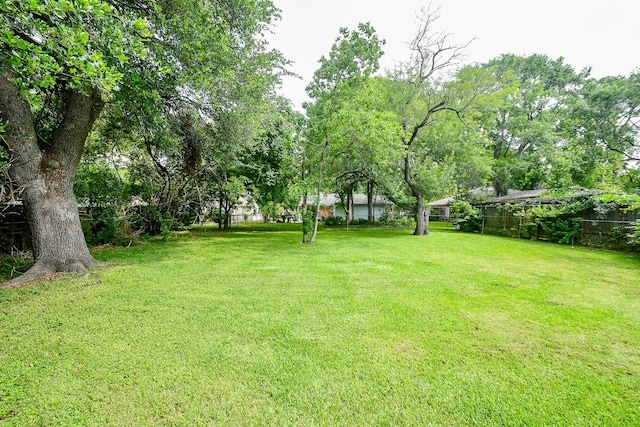12618 Foxburo Dr, Houston, TX 77065 - view of yard
