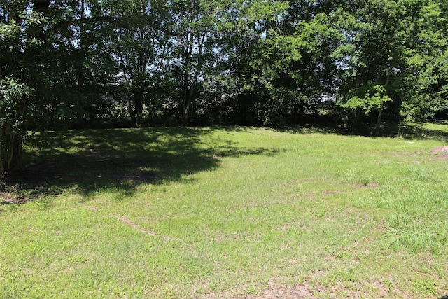 1314 Hooks St, Crockett, TX 75835 - view of green lawn