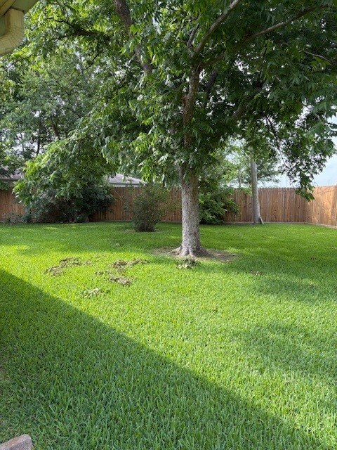 3213 Whitesail Dr, League City, TX 77573 - view of fenced backyard