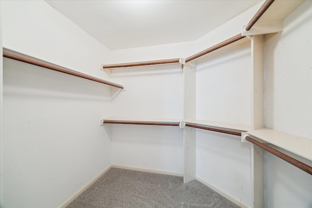 walk in closet featuring carpet
