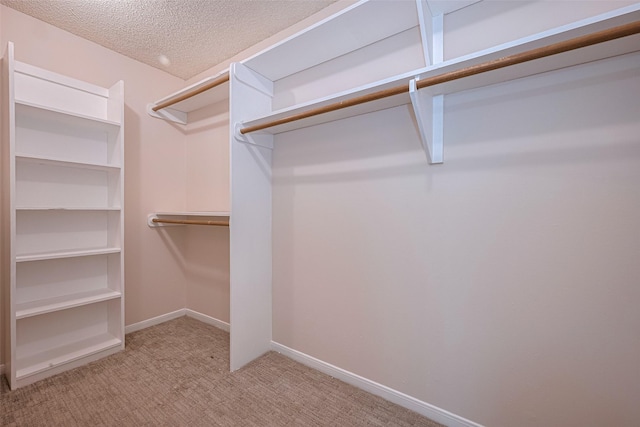 spacious closet featuring light carpet