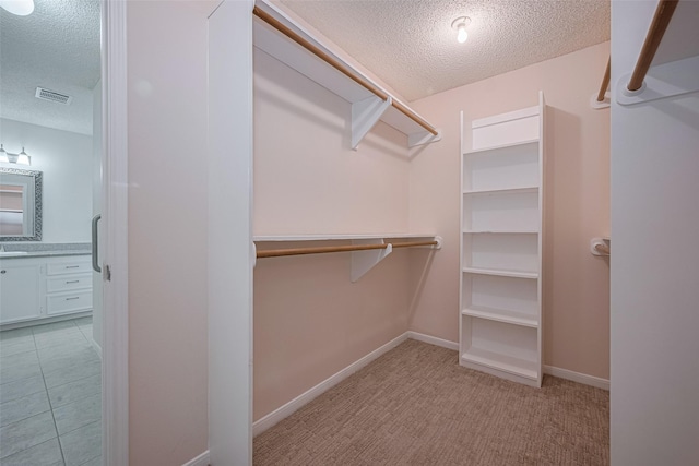 spacious closet with light carpet