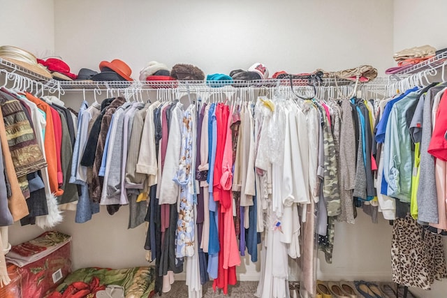 9526 Opal Gates Dr, Rosharon, TX 77583 - spacious closet with carpet