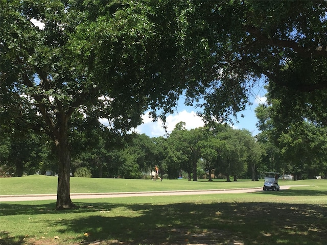 4510 Hazelton St, Houston, TX 77035 - surrounding community with a lawn and view of wooded area