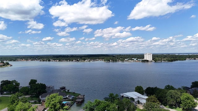 964 Lake View Dr, Montgomery, TX 77356 - water view