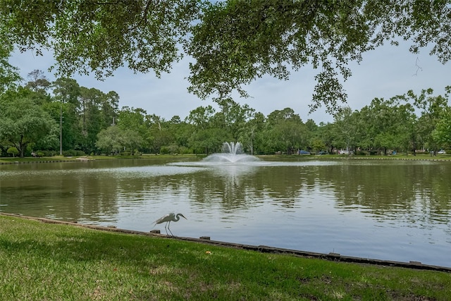 5807 Juniper Knoll Ln, Houston, TX 77345 - water view