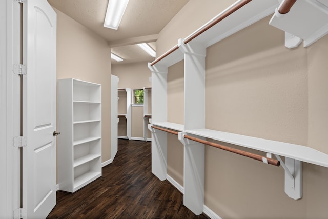 12011 Charlottes Bequest Cir, Cypress, TX 77433 - walk in closet with dark wood-type flooring
