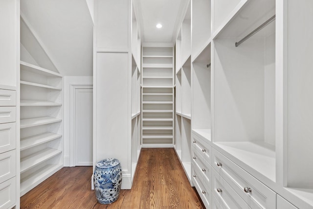 spacious closet with dark wood-style flooring