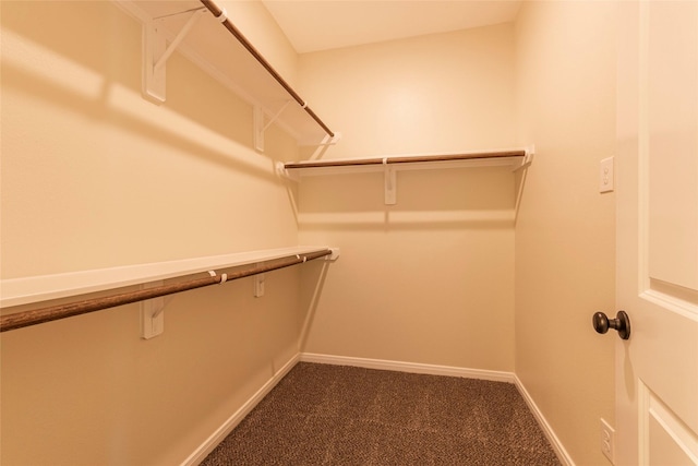 14606 W 6th St, Santa Fe, TX 77517 - walk in closet with dark carpet