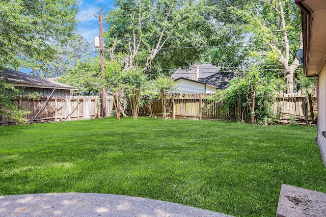 3823 Fernglade Dr, Houston, TX 77068 - view of yard