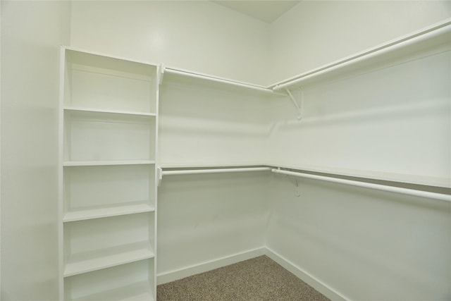 16803 Forest Trail Dr, Channelview, TX 77530 - spacious closet with carpet flooring