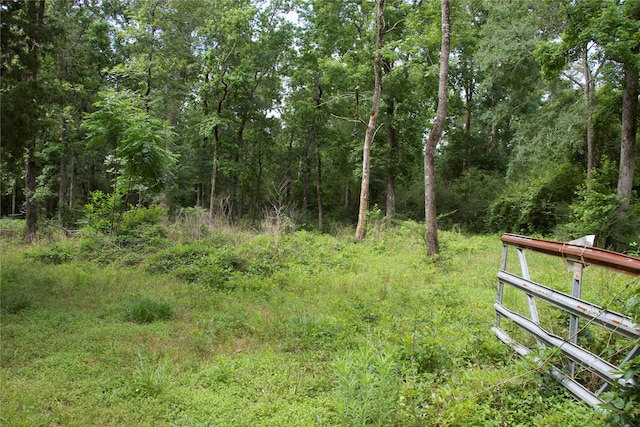 120 Eagle Creek Dr, Cleveland, TX 77328