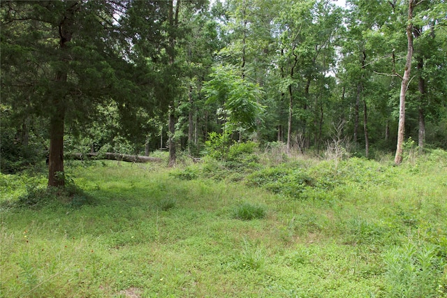 120 Eagle Creek Dr, Cleveland, TX 77328