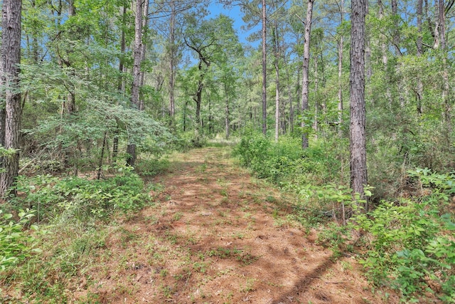 8327 Fm 980n, Huntsville, TX 77320