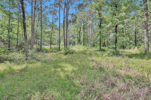 8327 Fm 980n, Huntsville, TX 77320