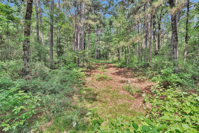 8327 Fm 980n, Huntsville, TX 77320