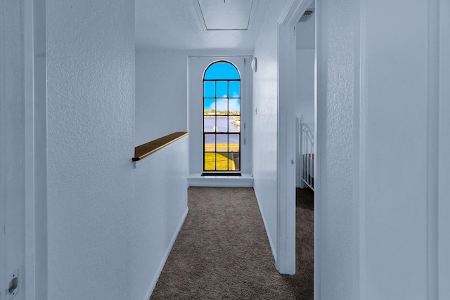 3100 75th St Unit 5, Galveston, TX 77551 - hallway featuring a textured wall, carpet, and baseboards