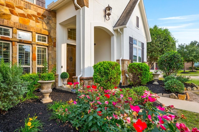 2919 Rutherford Place Ct, Katy, TX 77494 - doorway to property with stucco siding, stone siding, and roof with shingles