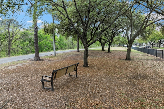 766 Memorial Mews St, Houston, TX 77079 - photo 6