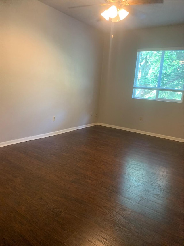 766 Memorial Mews St, Houston, TX 77079 - photo 23