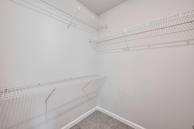 2706 Star Peak Dr, Houston, TX 77088 - walk in closet featuring carpet floors