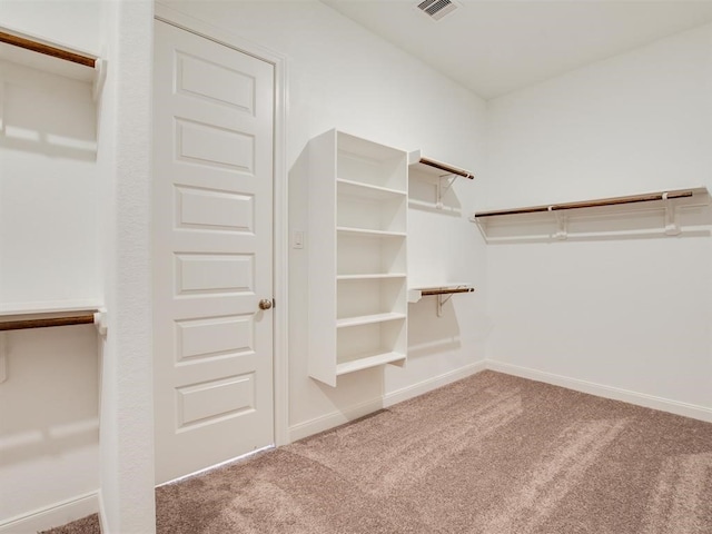 4218 Tanner Woods Ln, Sugar Land, TX 77479 - walk in closet with carpet flooring