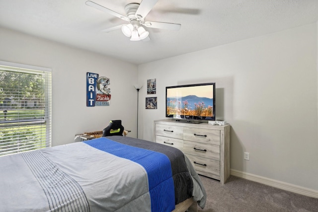 14 Haverford Ln, Friendswood, TX 77546 - photo 20