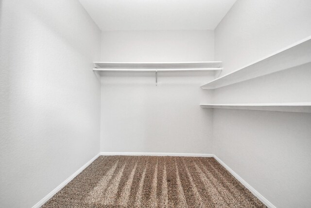 273 Rd 5134, Cleveland, TX 77327 - spacious closet featuring carpet flooring