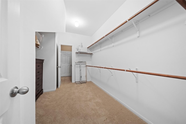 walk in closet with light carpet