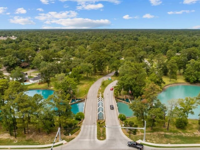 307 Squall Ct, Crosby, TX 77532 - aerial view of a forest and a nearby body of water