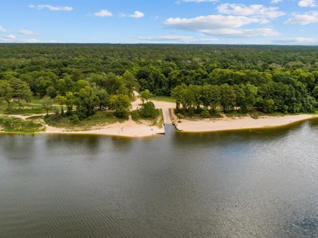 307 Squall Ct, Crosby, TX 77532 - drone / aerial view of a forest and a nearby body of water