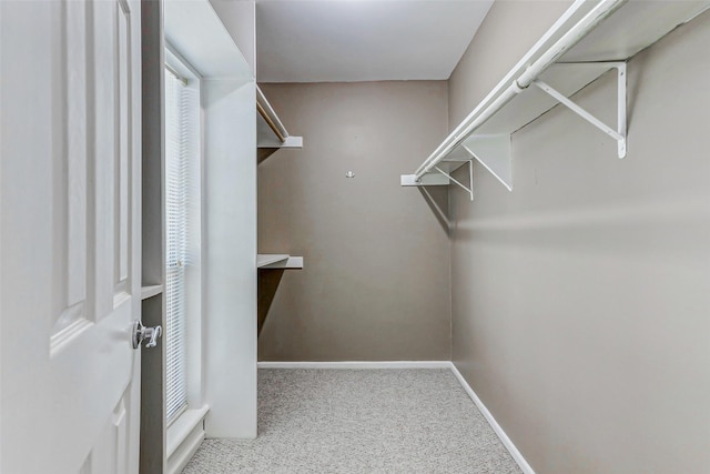 13060 Trail Hollow Dr Unit 3060, Houston, TX 77079 - walk in closet featuring carpet