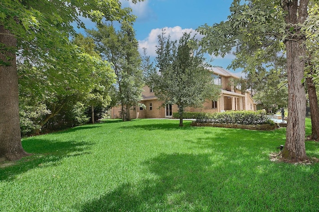 3 Player Vis, The Woodlands, TX 77382 - photo 34