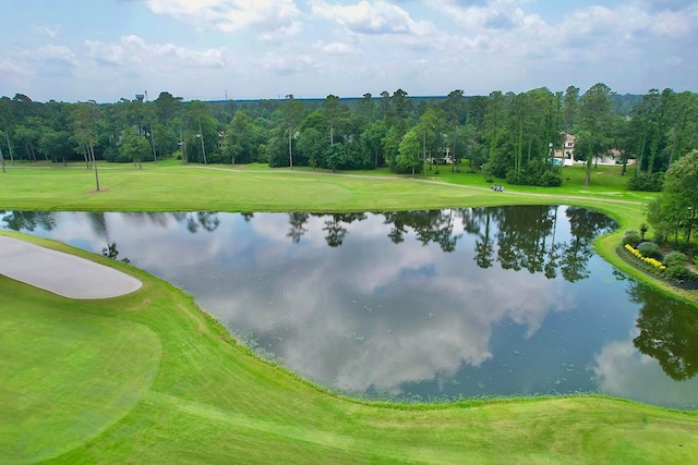 3 Player Vis, The Woodlands, TX 77382 - photo 40