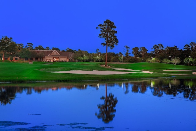 3 Player Vis, The Woodlands, TX 77382 - photo 29