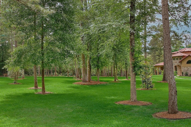 280 Sundog Rd, Huntsville, TX 77340 - view of community with a yard