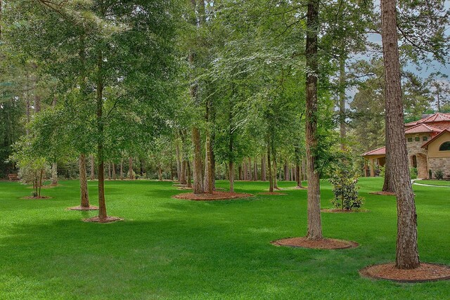 280 Sundog Rd, Huntsville, TX 77340 - view of green lawn