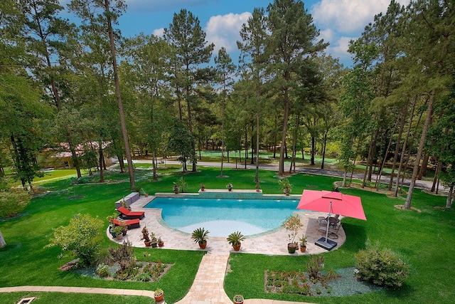 280 Sundog Rd, Huntsville, TX 77340 - view of swimming pool featuring a lawn